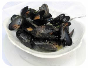 mussel