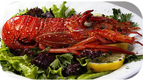 lobster lobster