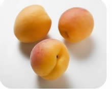 apricots apricots
